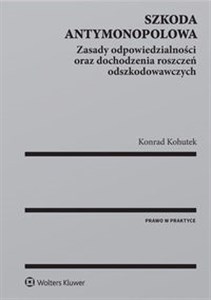 Obrazek Szkoda antymonopolowa Zasady odpowiedzialności oraz dochodzenia roszczeń odszkodowawczych