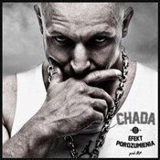 Efekt poro... -  foreign books in polish 