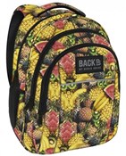 Polska książka : Plecak Bac...