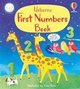 Picture of First Numbers Book