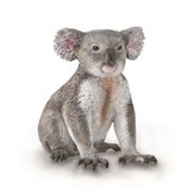 Miś Koala -  Książka z wysyłką do UK