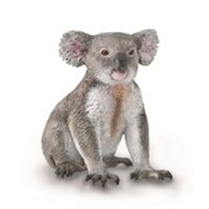Picture of Miś Koala