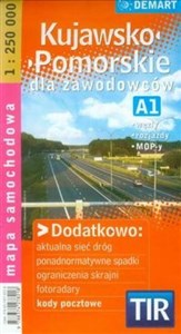 Obrazek Kujawsko-pomorskie dla zawodowców TIR mapa samochodowa 1:250 000