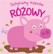 Polska książka : Dotykamy k... - Opracowanie Zbiorowe