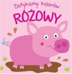 Obrazek Dotykamy kolorów. Różowy