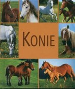 Książka : Konie - Mariola Jezierska (red.)