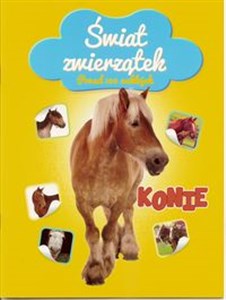 Obrazek Świat zwierzątek - Konie