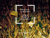 Dzieje poe... - Wojciech Czaplewski -  foreign books in polish 