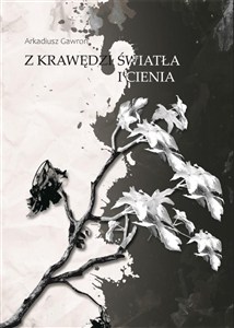Picture of Z krawędzi światła i cienia