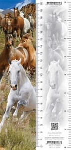 Picture of Zakładka 3D Konie
