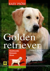 Picture of Golden retriever Rasy psów