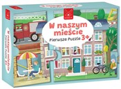 polish book : Pierwsze p...