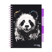 Polska książka : Kołozeszyt...