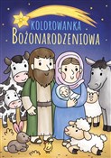 Polska książka : Kolorowank... - Marcin Łaptos