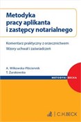 polish book : Metodyka p... - Aneta Wilkowska-Płóciennik, Tamara Żurakowska