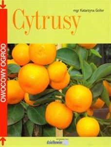 Obrazek Cytrusy