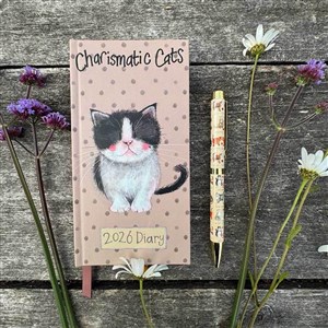 Picture of Terminarz 2026 kieszonkowy Kotek