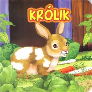 Picture of Królik