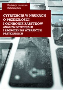 Obrazek Cyfryzacja w naukach o przeszłości i ochronie zabytków - analiza potencjału i zagrożeń na wybranych