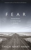 Fear - Thich Nhat Hanh -  books in polish 