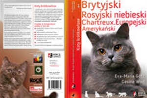 Picture of Koty krótkowłose Brytyjski. Rosyjski niebieski. Cartreux.Europejski, amerykański