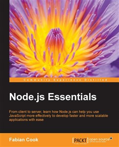 Obrazek Node.js Essentials