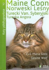 Obrazek Koty półdługowłose Maine Coon Norweski Leśny Turecki Van Syberyjski Turecka Angora