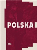 Polska książka : Polska - Michał Kleiber, Henryk Samsonowicz, Franciszek Ziejka