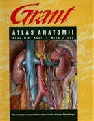 Atlas anat... - Ann M. R. Agur, Ming J. Lee -  books from Poland