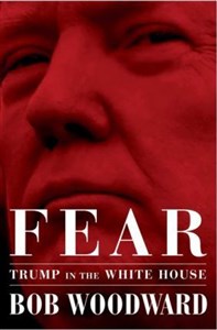 Obrazek Fear : Trump in the White House