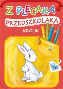 Picture of Z plecaka przedszkolaka Królik