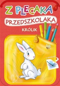 Obrazek Z plecaka przedszkolaka Królik