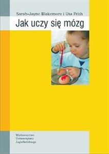 Picture of Jak uczy się mózg?