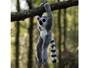 Obrazek Pluszowy lemur na rzepy