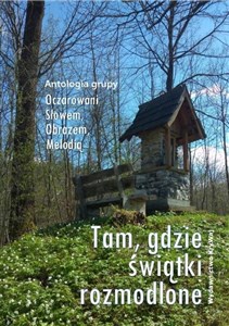 Picture of Tam, gdzie świątki rozmodlone