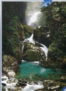 Picture of Puzzle 1000 Nowa Zelandia