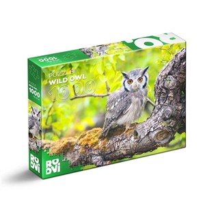 Obrazek Puzzle 1000 Dzika sowa
