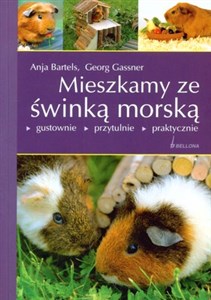 Obrazek Mieszkamy ze świnką morską