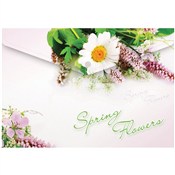 Teczka A4 ... -  books from Poland