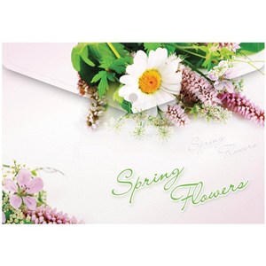 Picture of Teczka A4 na zatrzask kwiaty