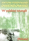 W polskiej... - Antoni Ferdynand Ossendowski -  books from Poland