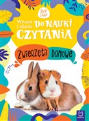 Zwierzęta ... - Monika Basiejko -  foreign books in polish 
