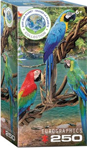 Picture of Puzzle 250 Macaws 8251-5588