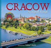 polish book : Cracow A C... - Grzegorz Rudziński