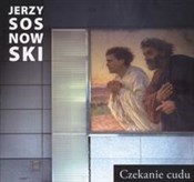 polish book : Czekanie c... - Jerzy Sosnowski