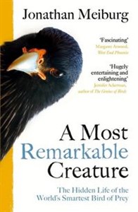 Picture of A Most Remarkable The Hidden Life of the World's Smartest Bird of Prey