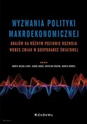 Wyzwania p... - Marta Wajda-Lichy, Jakub Janus, Krystian Mucha, Marta Sordyl -  Polish Bookstore 