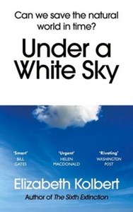 Obrazek Under a White Sky