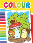 Colour Grz... - Opracowanie Zbiorowe -  Książka z wysyłką do UK