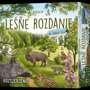 Obrazek GRA Leśne rozdanie: Na skraju lasu